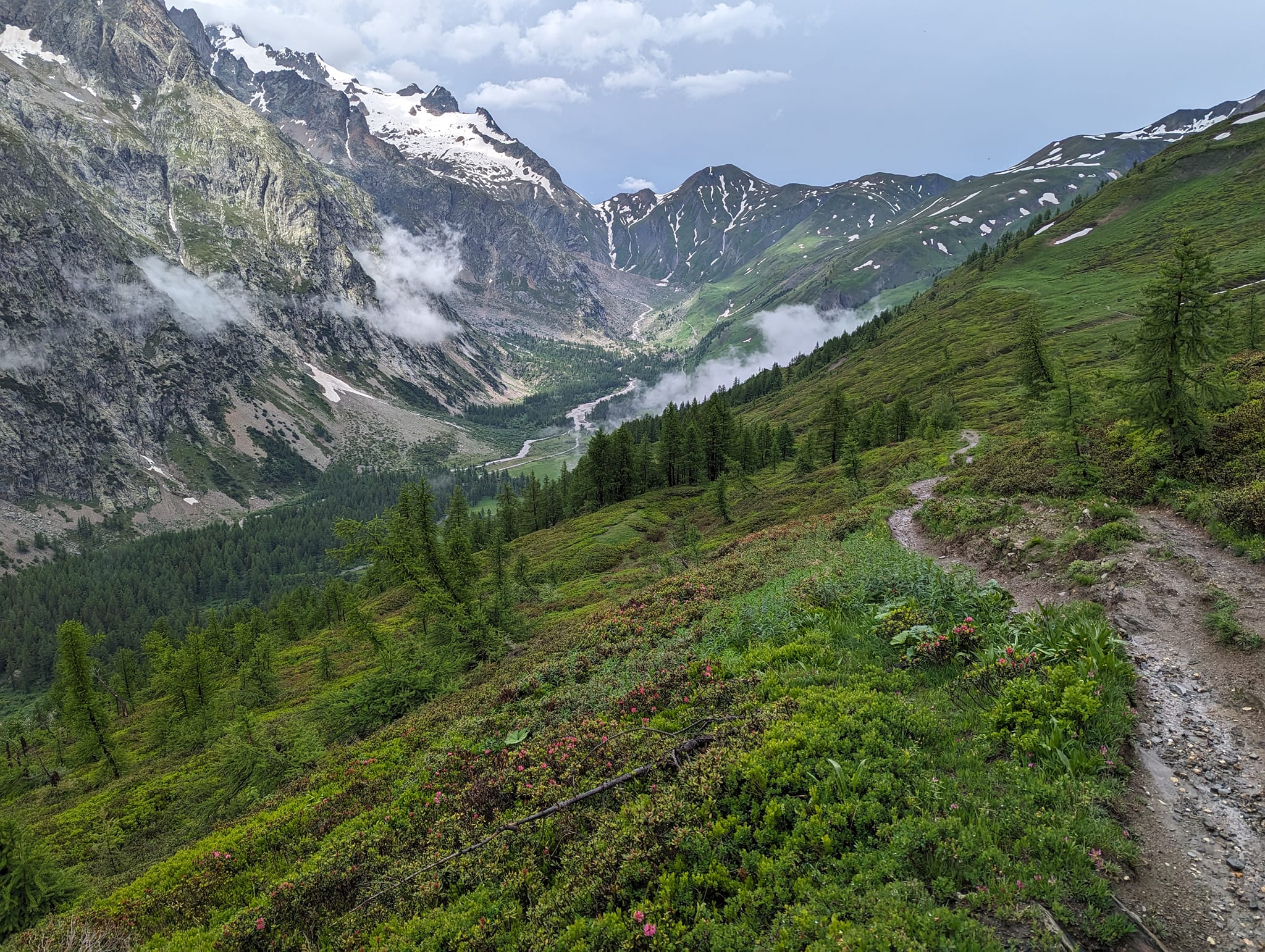På leting etter teltplass