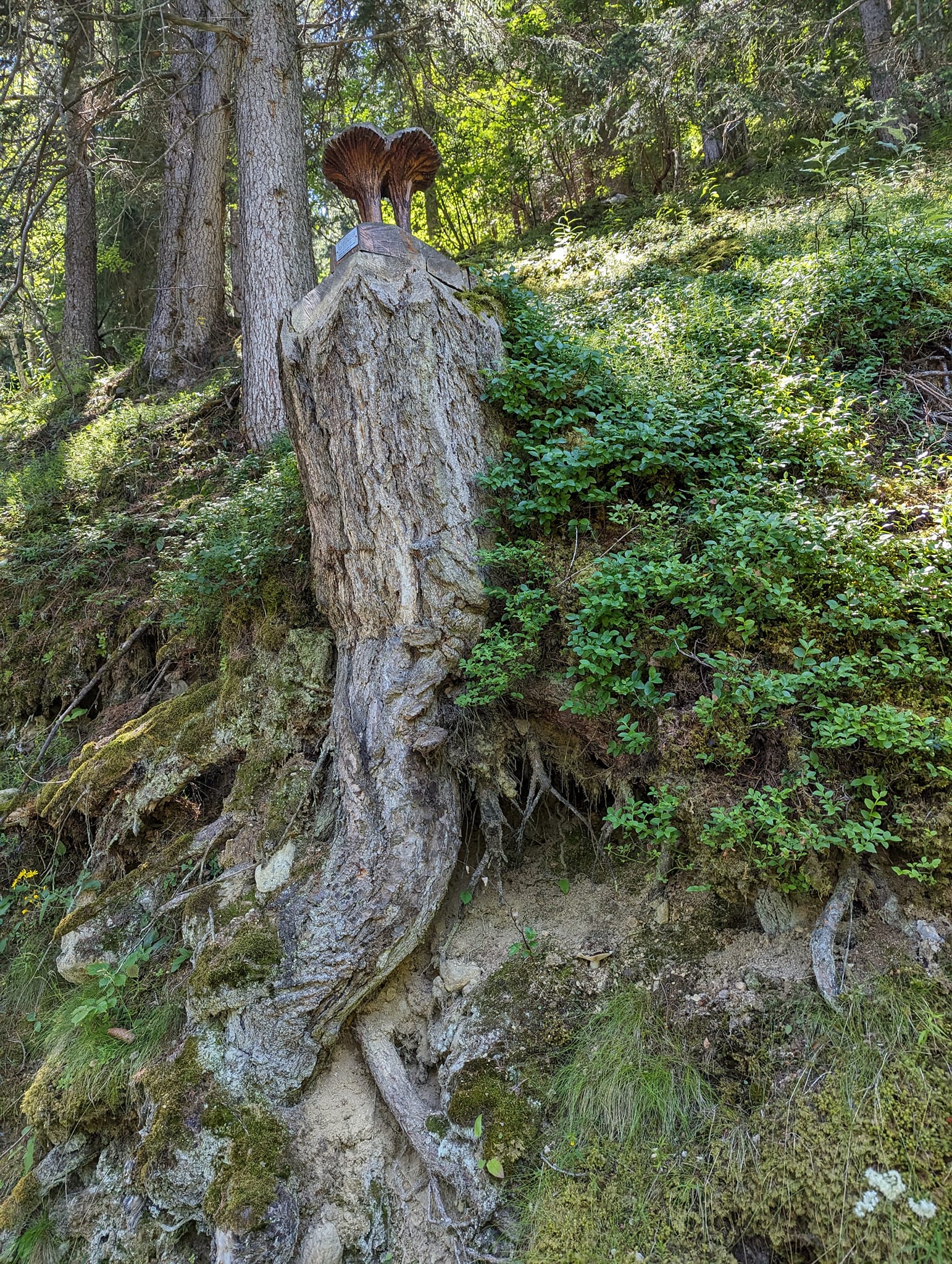 På vei opp var det flere slike trefigurer som var skjært ut i stubber langs stien.
