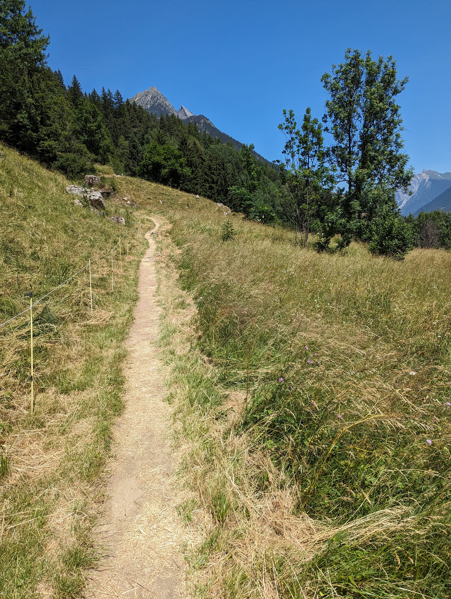 Stigningen opp mot Champex begynner
