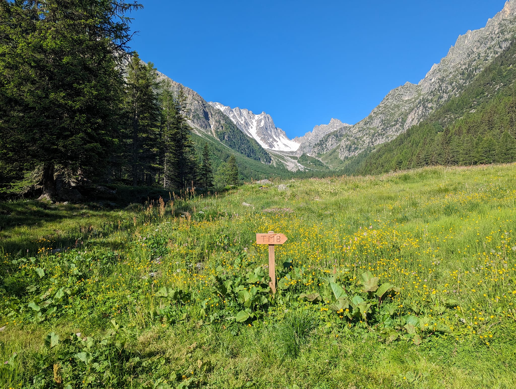 Langt der oppe er passet.