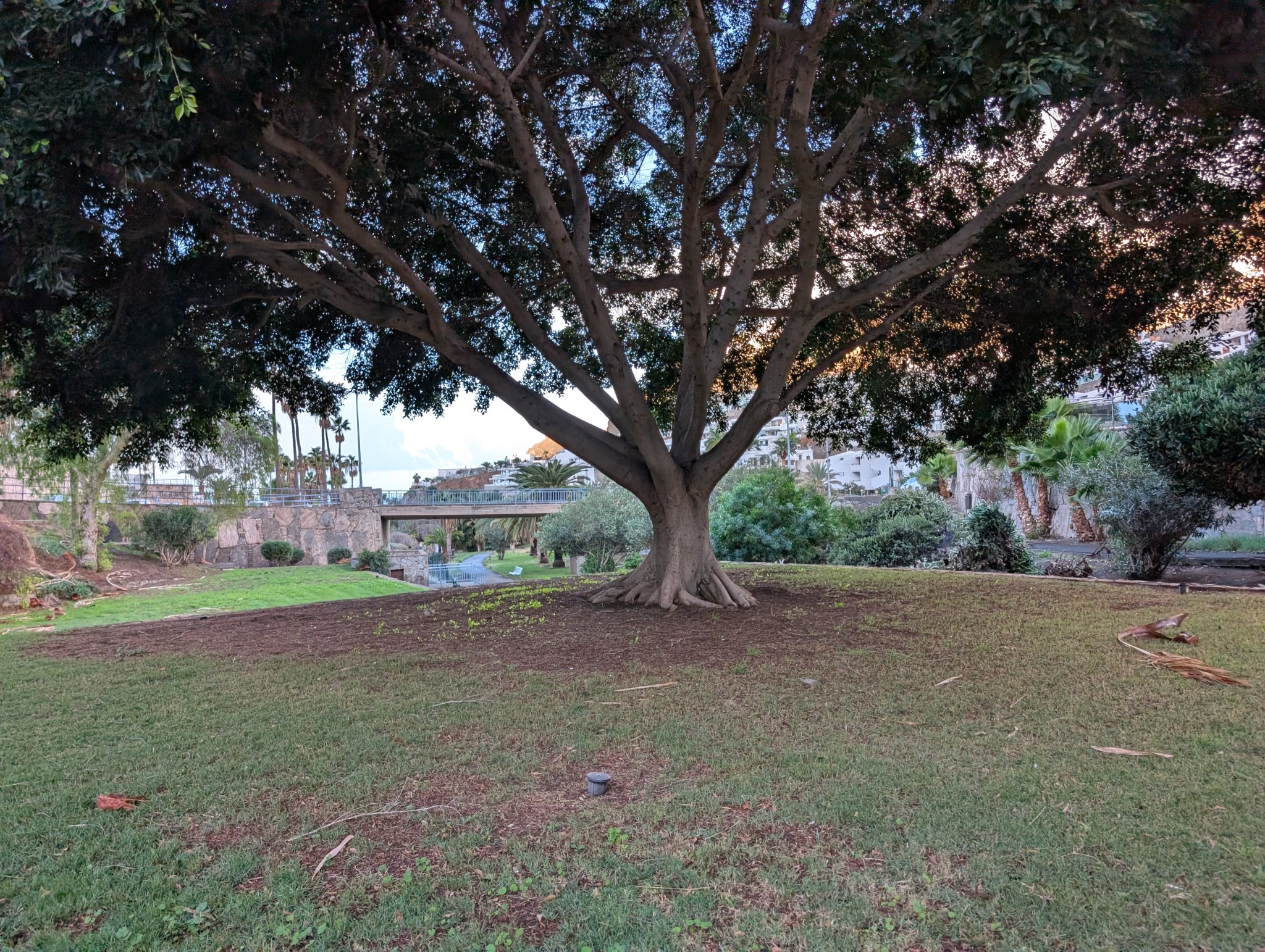 Parken ved siden av Aquacanis.