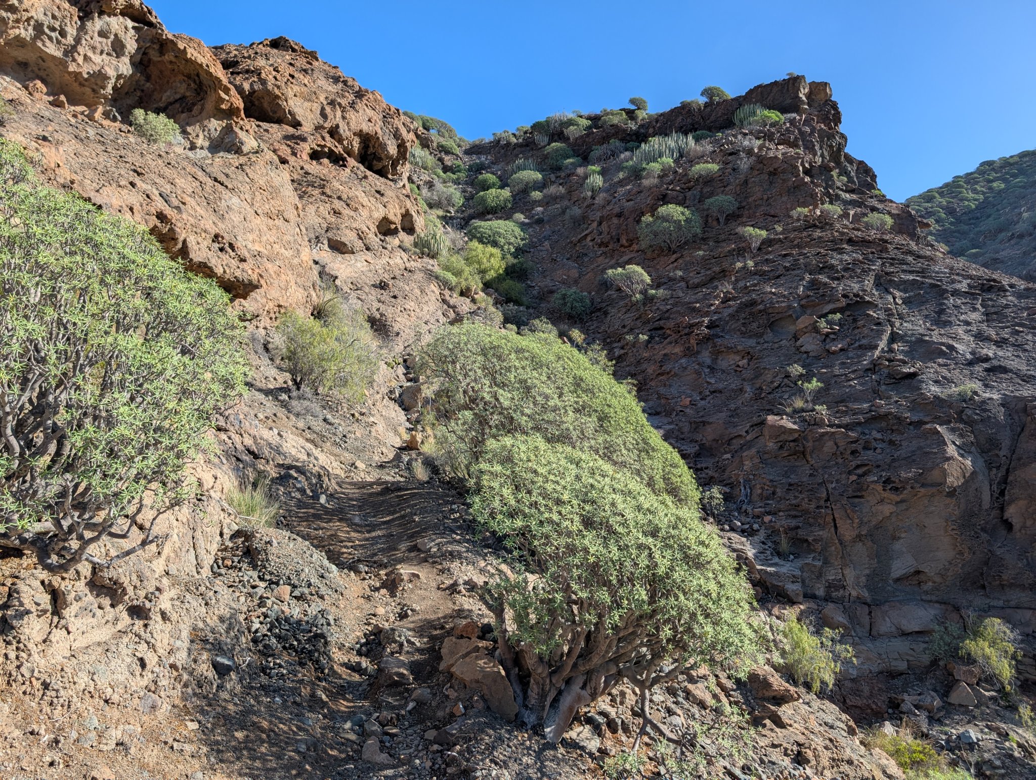 Det bratteste partiet på Tvedtstien.