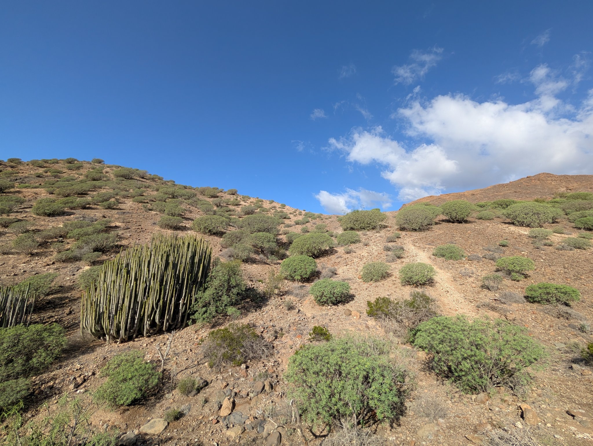 Sti opp til ryggen som går til Korset