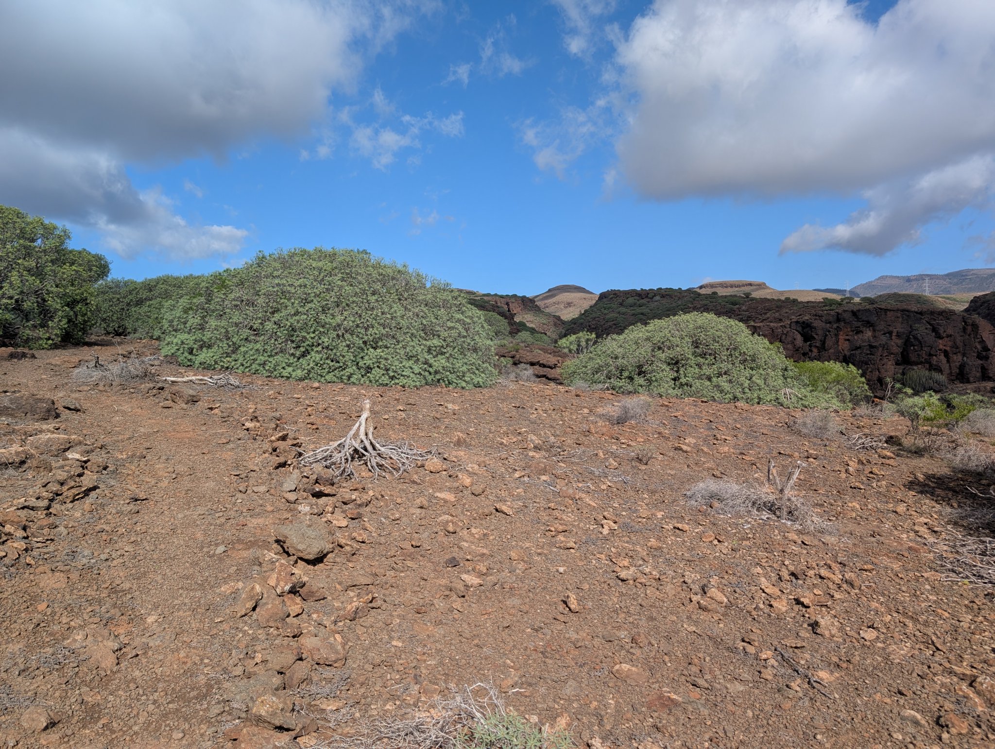 Snart framme ved Hjermandsplass