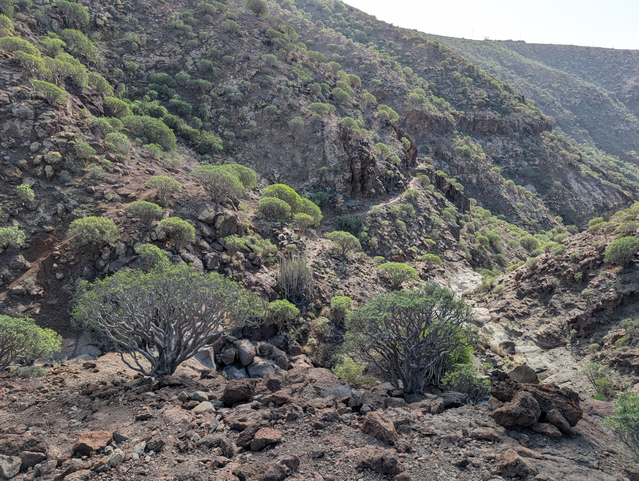 På vei ned mot hylla på Rianstien.