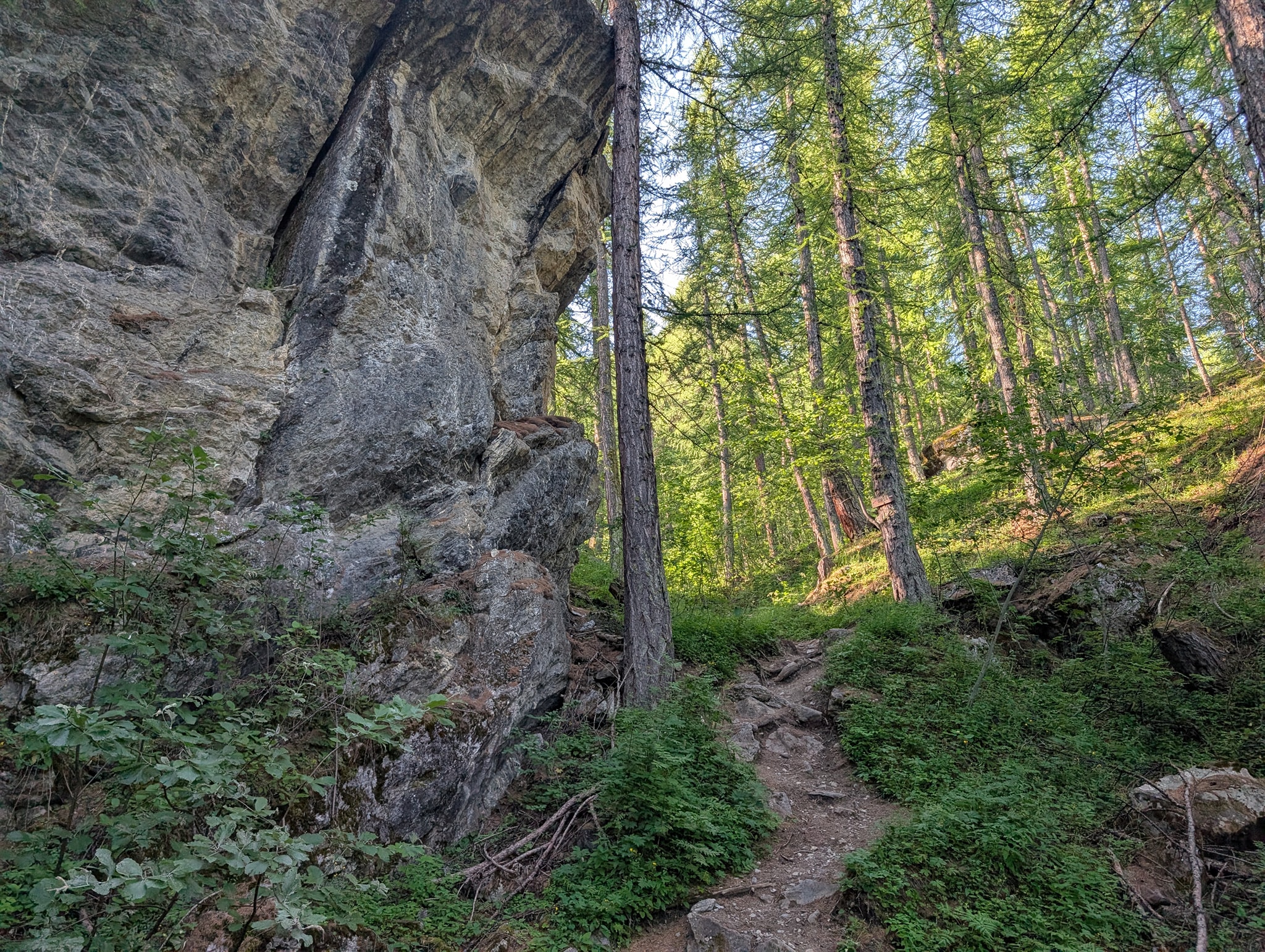 Stigningen i skogen mellom bakkene i Le Monêtier-les-Bains