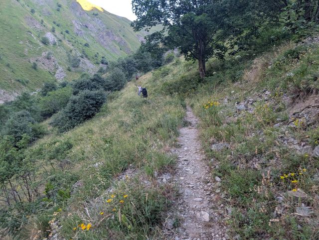 Stien starter ganske slakt gjennom skogen.